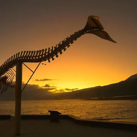 Caleta Interian Lejlighed *